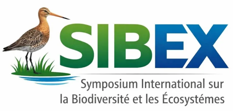 Logo officiel SIBEX